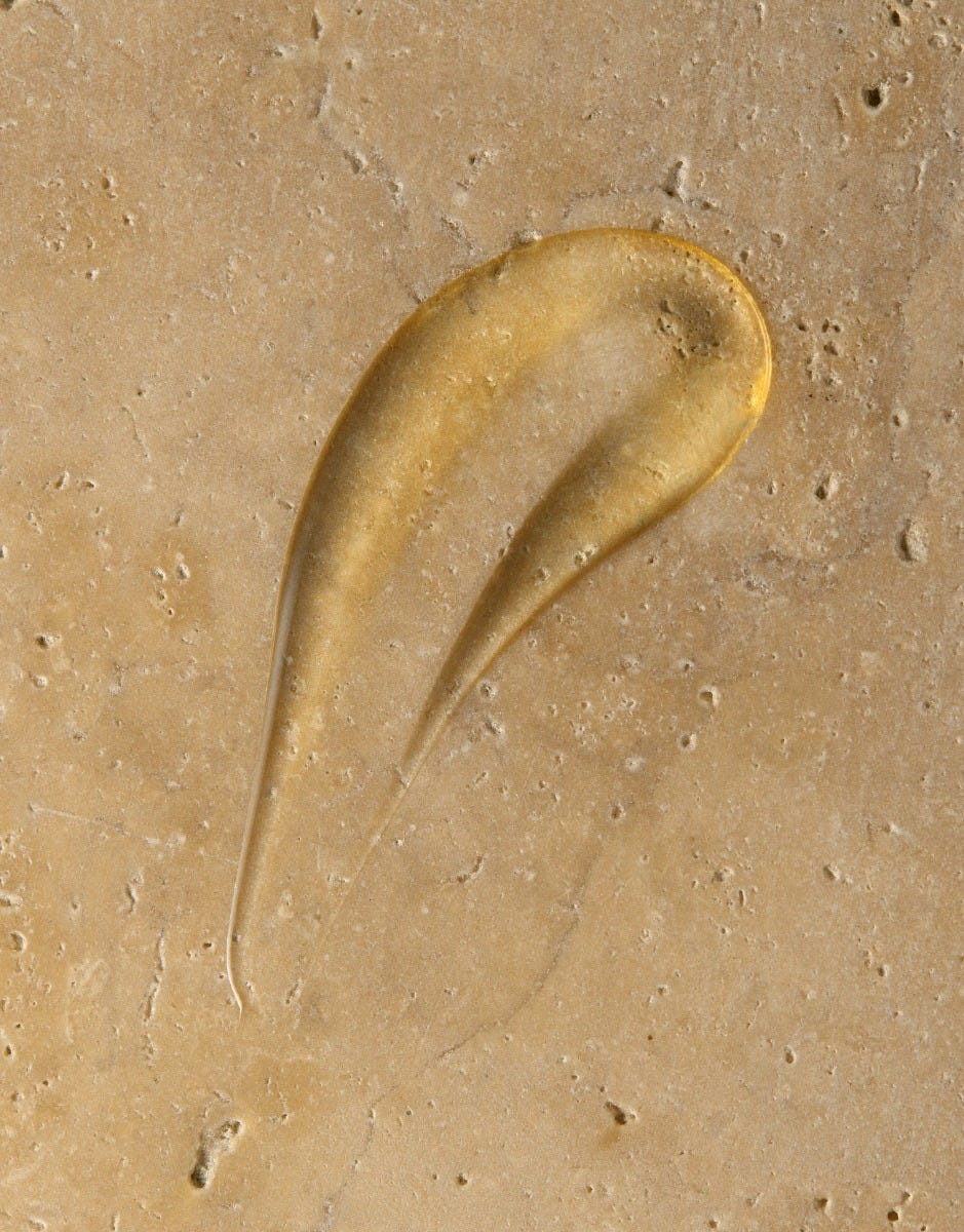 Moroccanoil | Hand Wash • Ambre Noir (360ml)