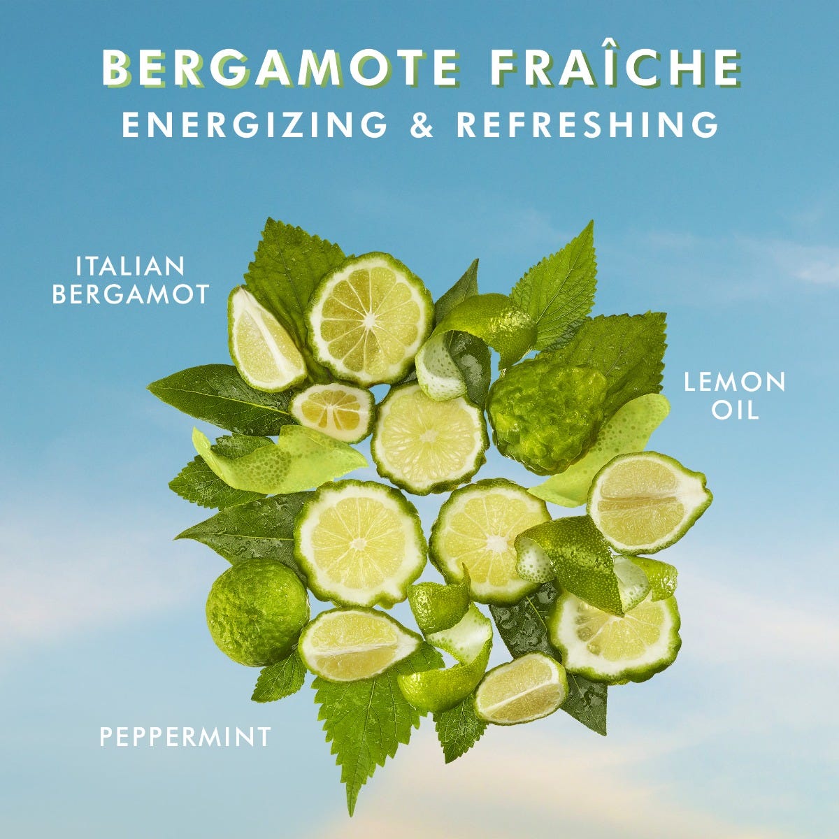 Moroccanoil | Hand Wash • Bergamote Fraîche (360ml)