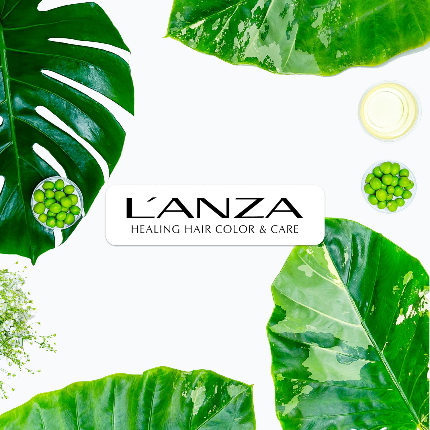 L'ANZA Collection