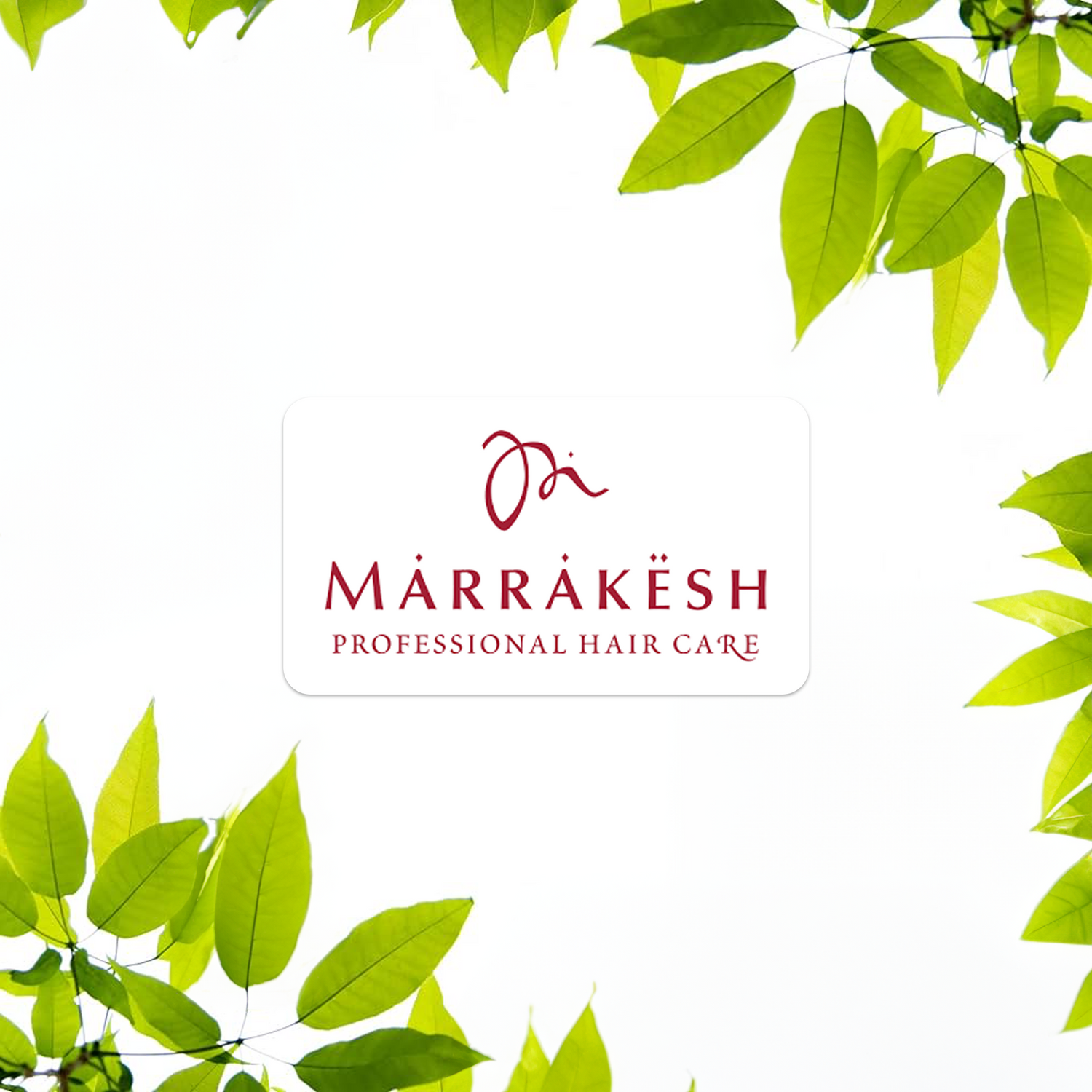 Marrakesh Hair Care