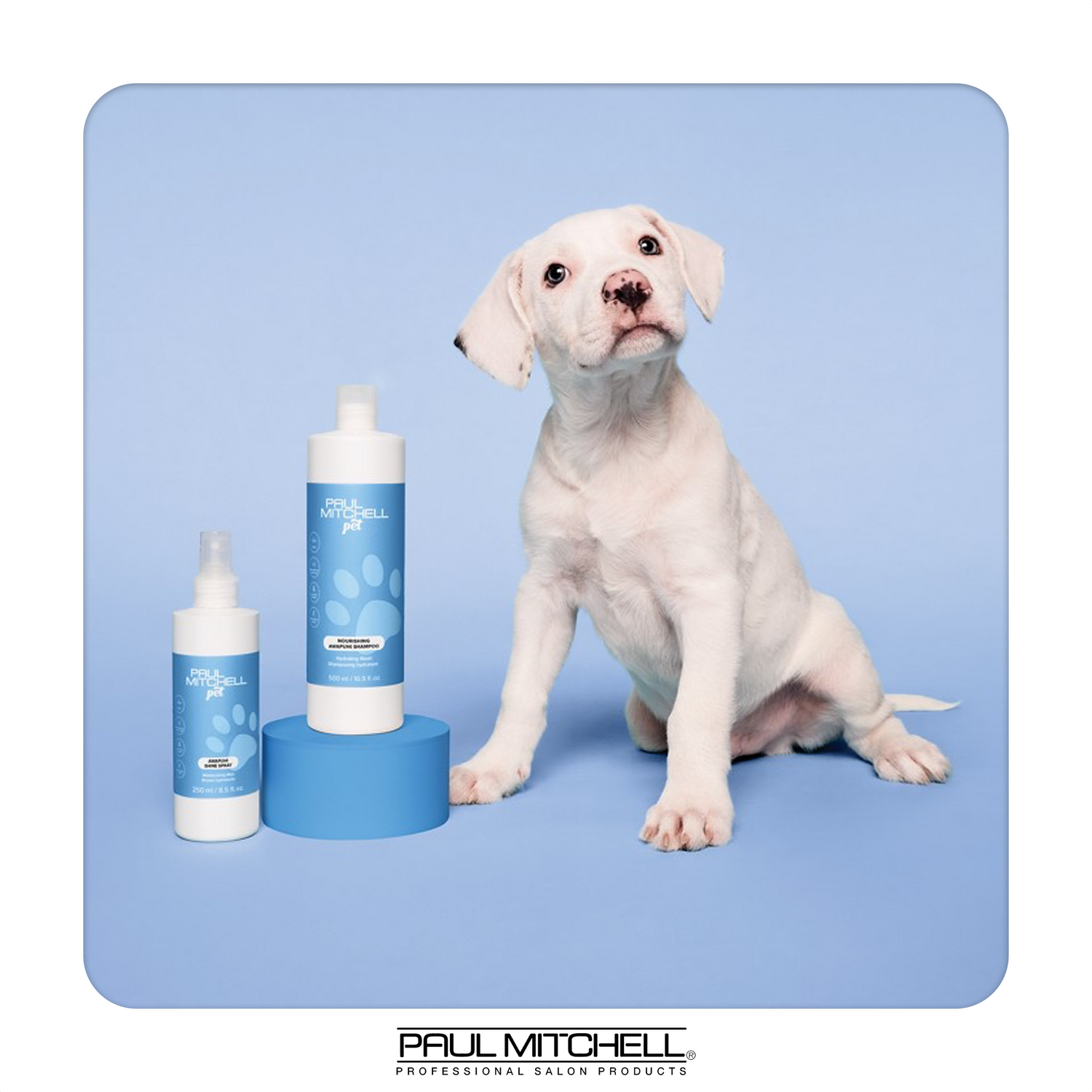 Paul Mitchell JP Pet