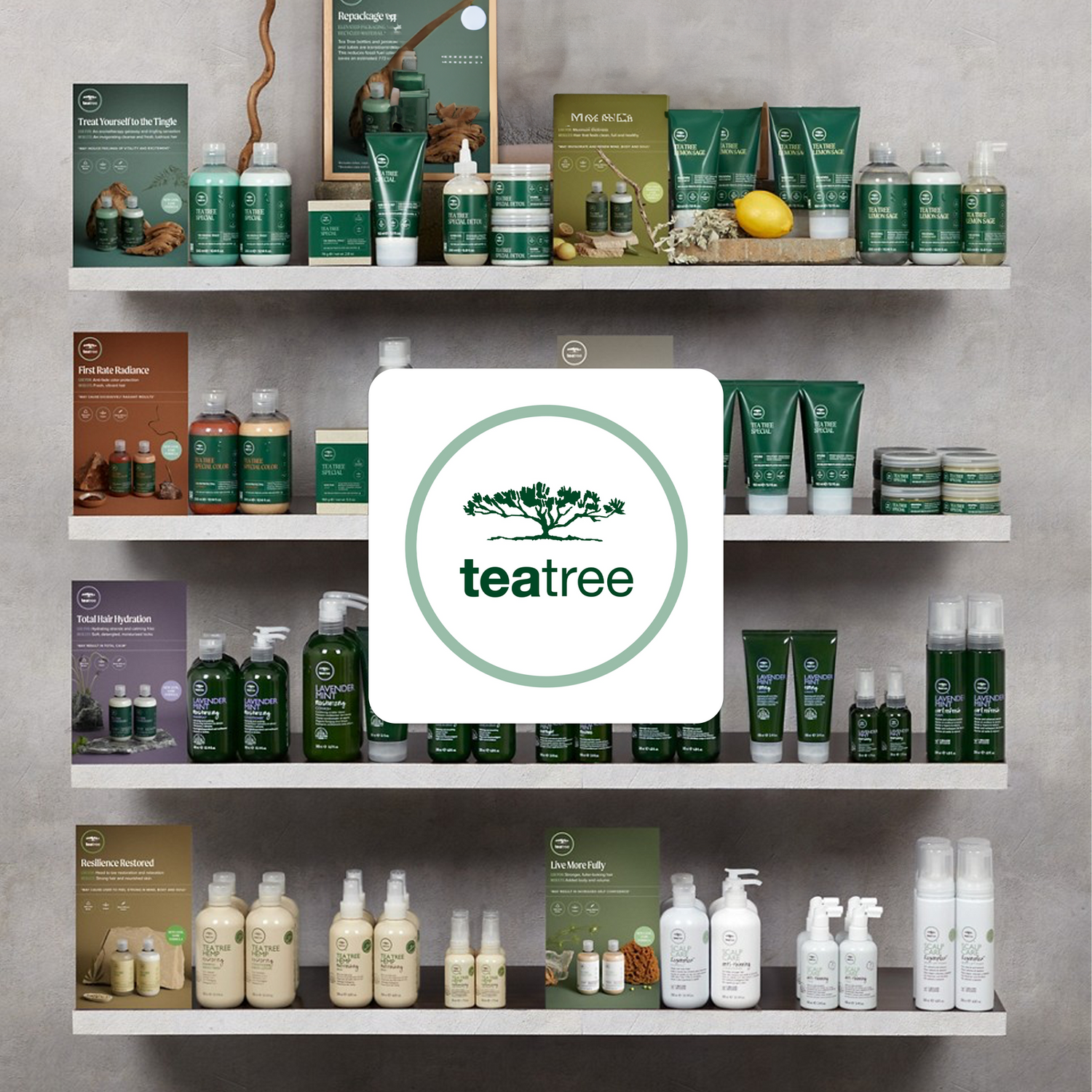 Paul Mitchell Tea Tree