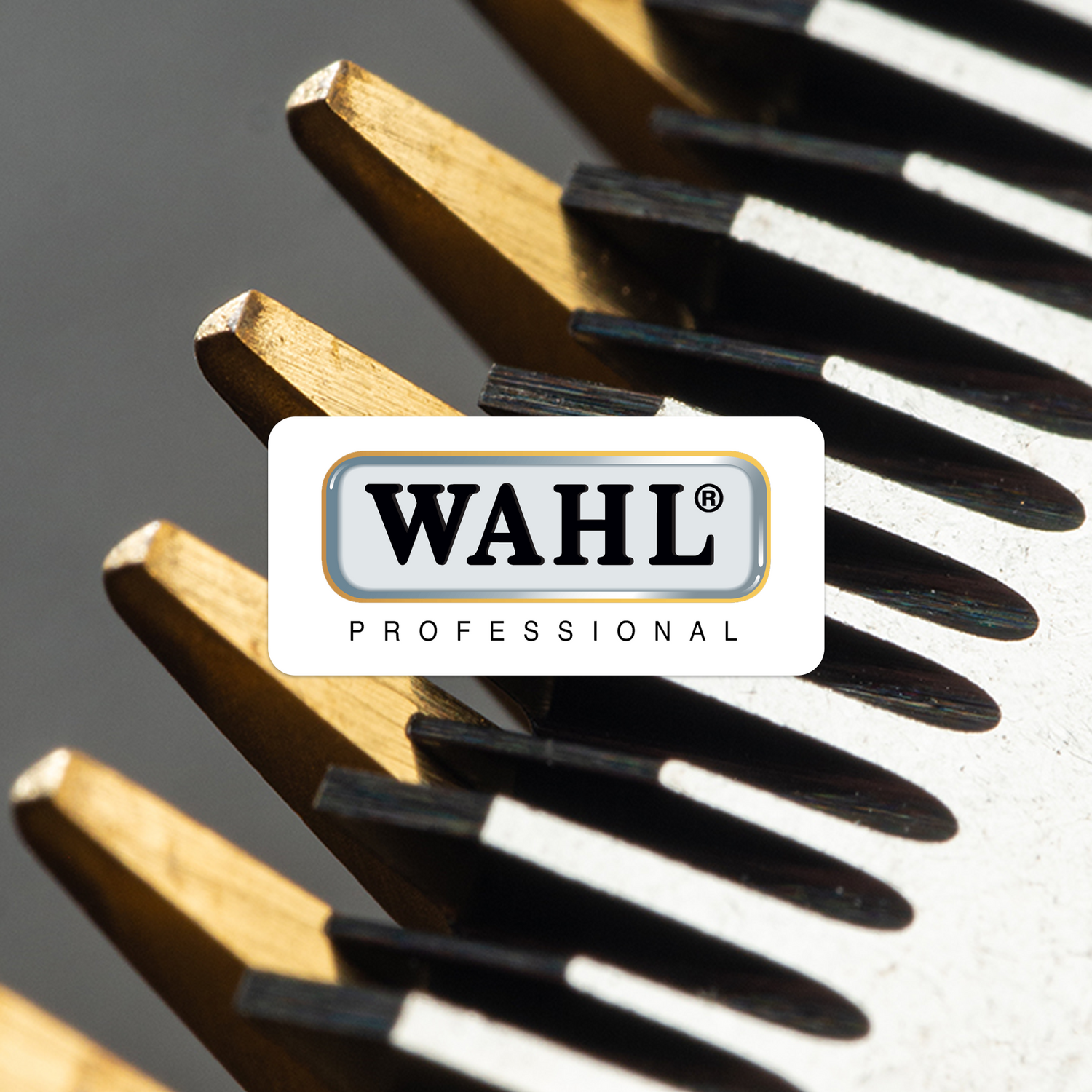 Wahl