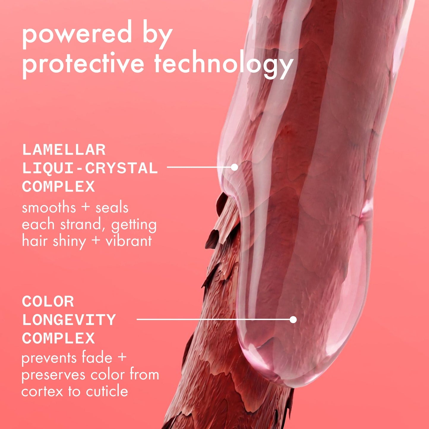 amika | the protector color protect + strengthen shampoo (1L)
