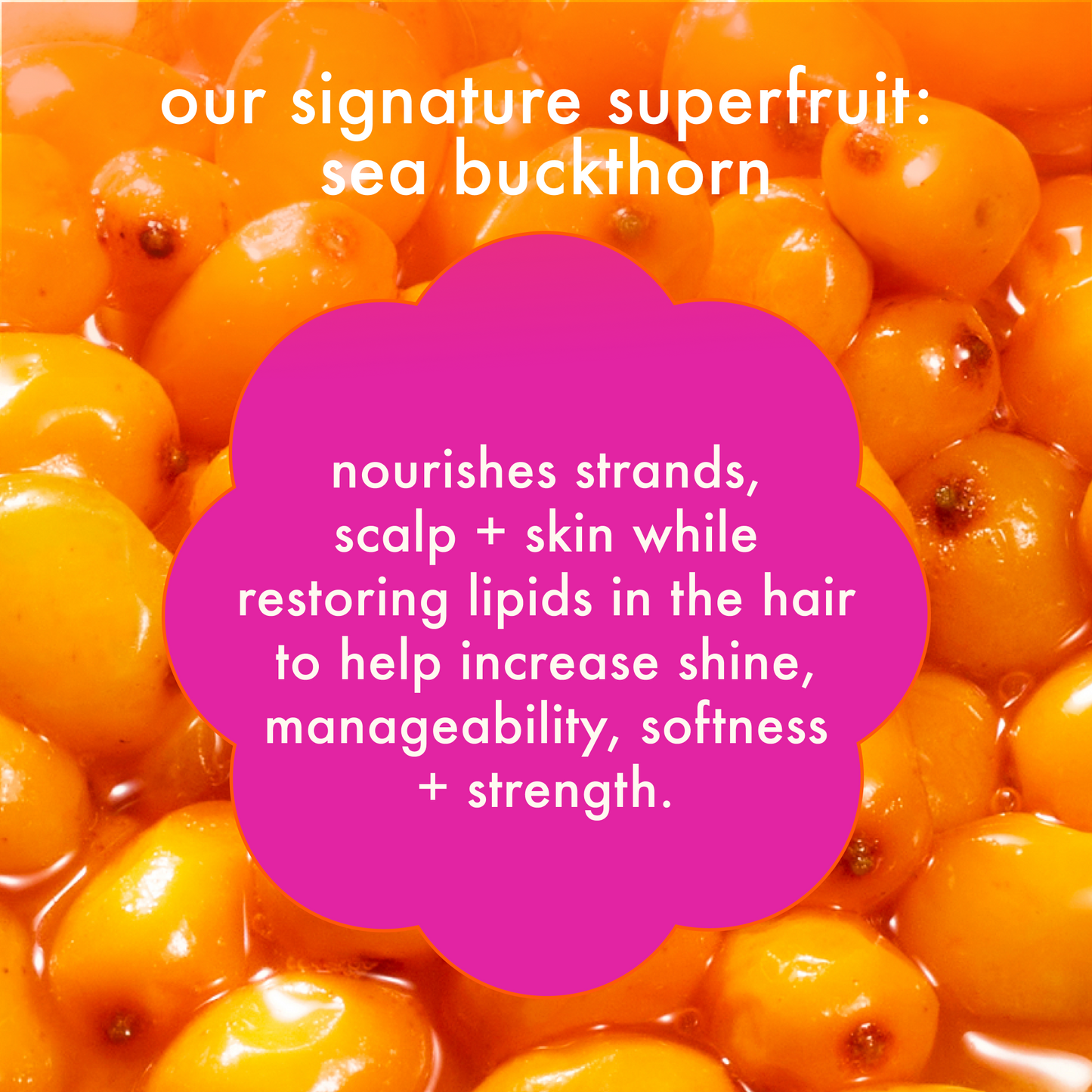 amika | normcore signature shampoo (1L)