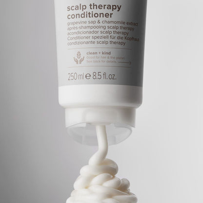 Paul Mitchell | Clean Beauty Scalp Therapy Conditioner (250ml)