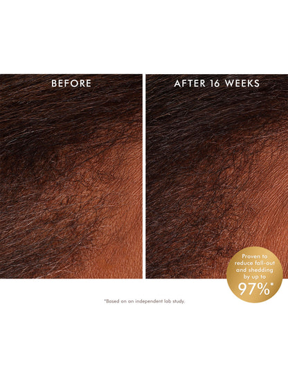 Moroccanoil | Revitalizing Scalp Tonic (125ml)