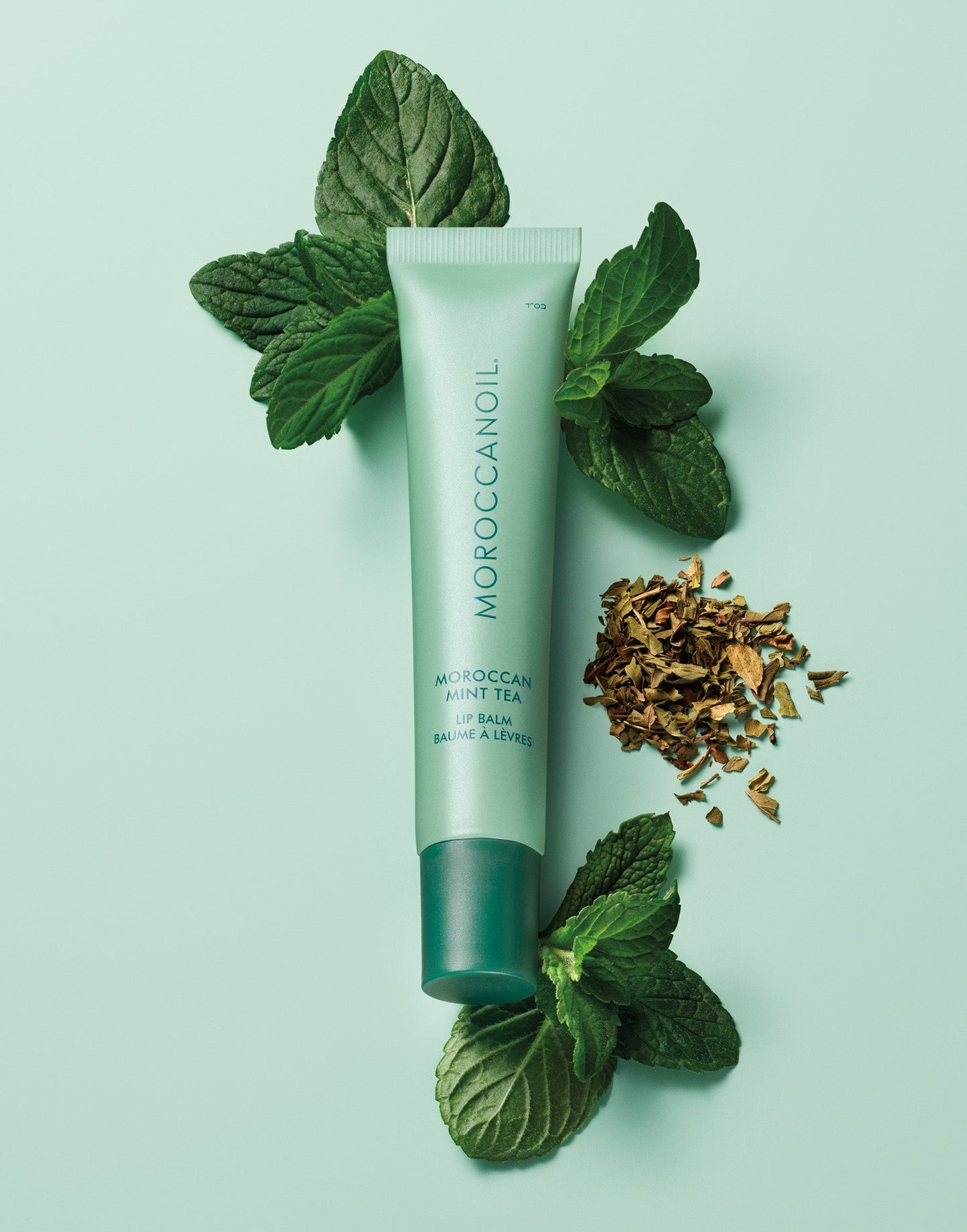 Moroccanoil | Argan Butter Lip Balm Trio
