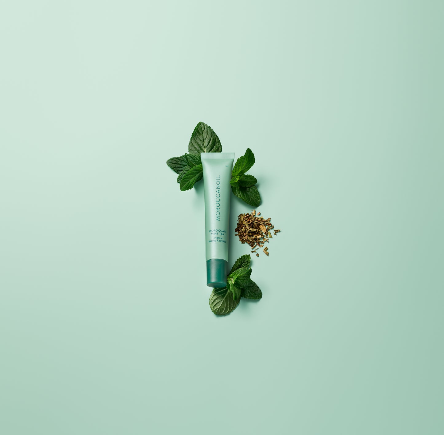 Moroccanoil | Lip Balm Mint Tea (15g)