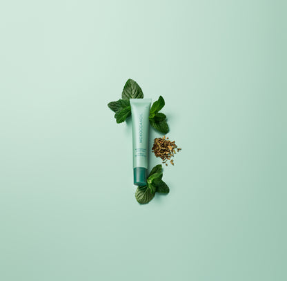Moroccanoil | Lip Balm Mint Tea (15g)